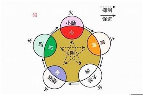 原字五行|源字的五行属性